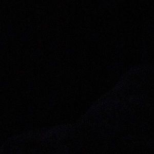 Meet your Posher, Lily